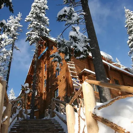 Hotel вотавілю Dragobrat