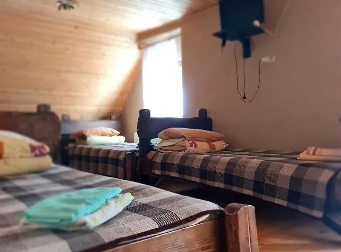 вотавілю * Dragobrat