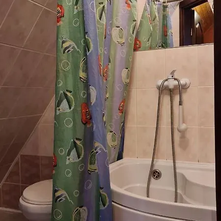 вотавілю Hotel Drahobrat